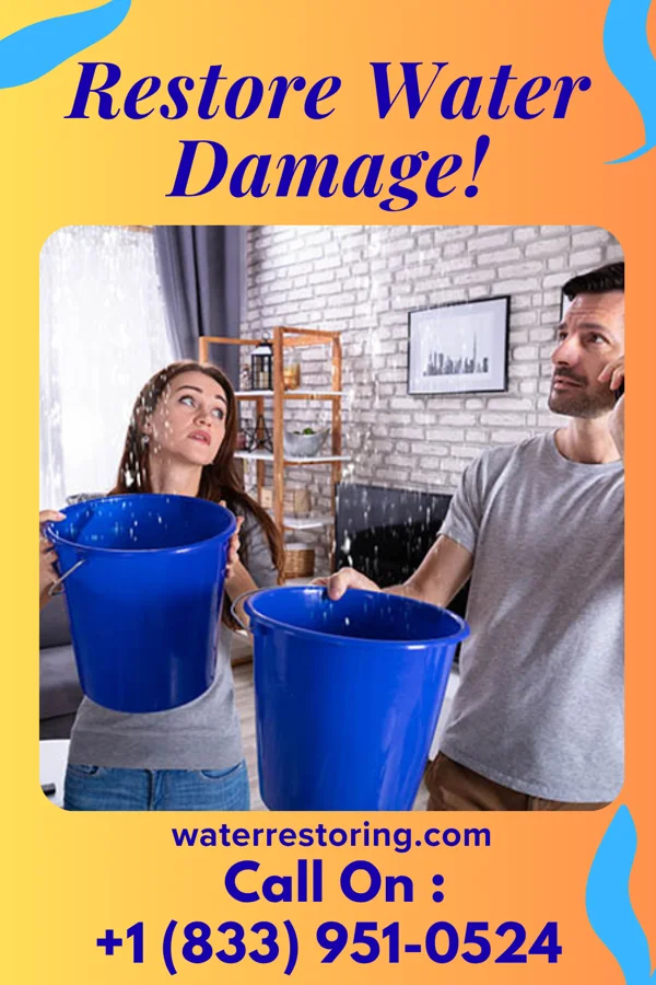 water restoration Sentinel Damage Recovery Services Argentine