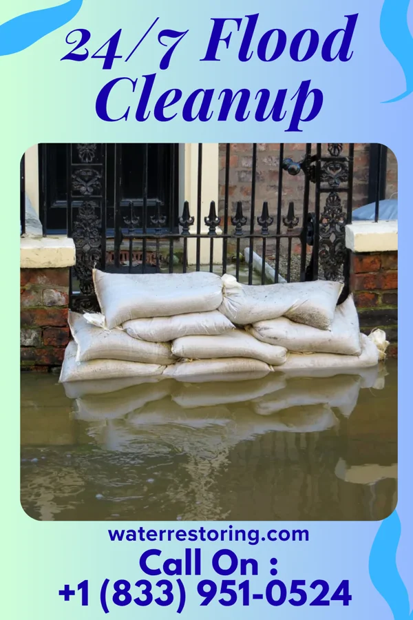 24/7 Flood Cleanup in Argentine, MI