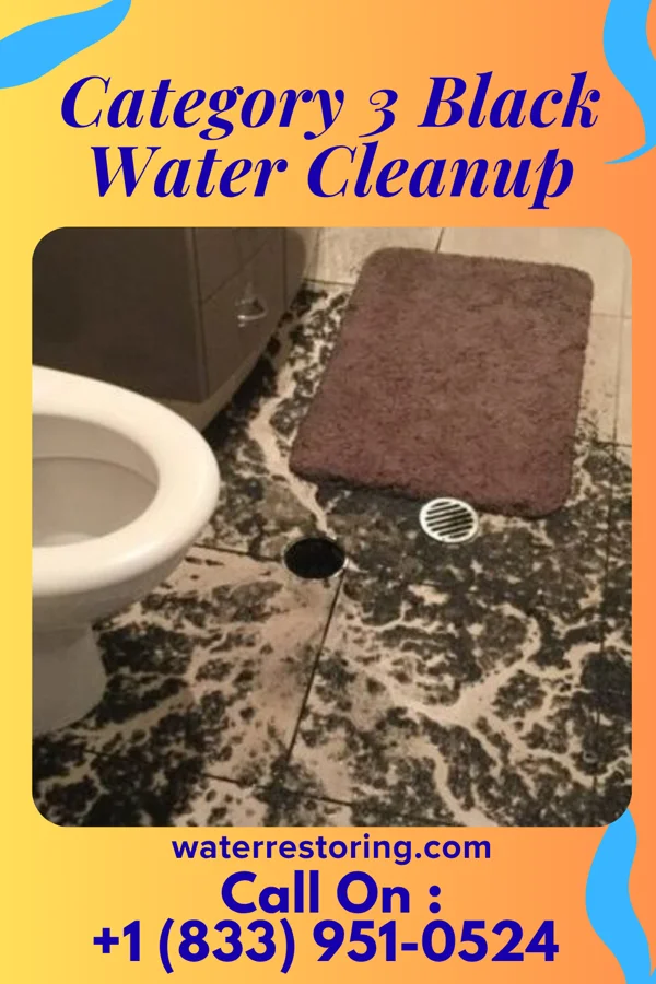 Category 3 Black Water Cleanup in Argentine, MI