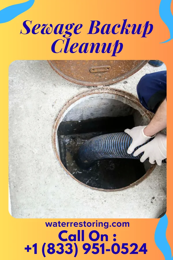 Sewage Backup Cleanup in Argentine, MI